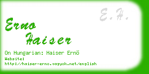 erno haiser business card